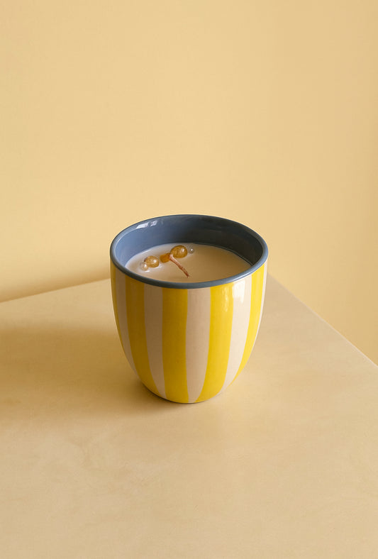 Mango-Vanilla Scented Candle